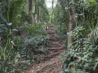 Trilha-morro-do-escalvado-matinhos-visit-litoral-parana